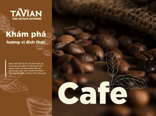 Poster chương trình thuộc Tavian