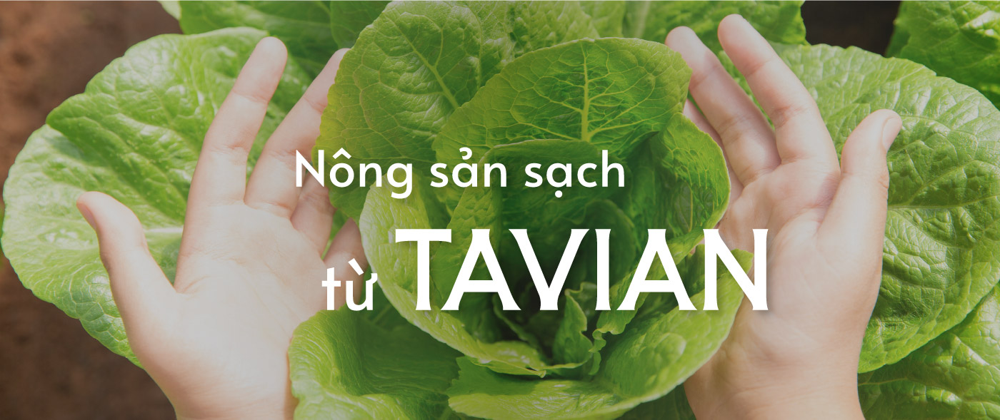 Banner mô tả đăng lý đại lý